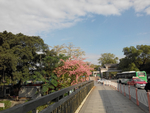 花卉