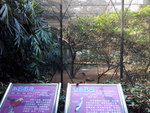 鸟笼