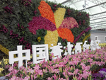 花卉