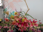 花卉