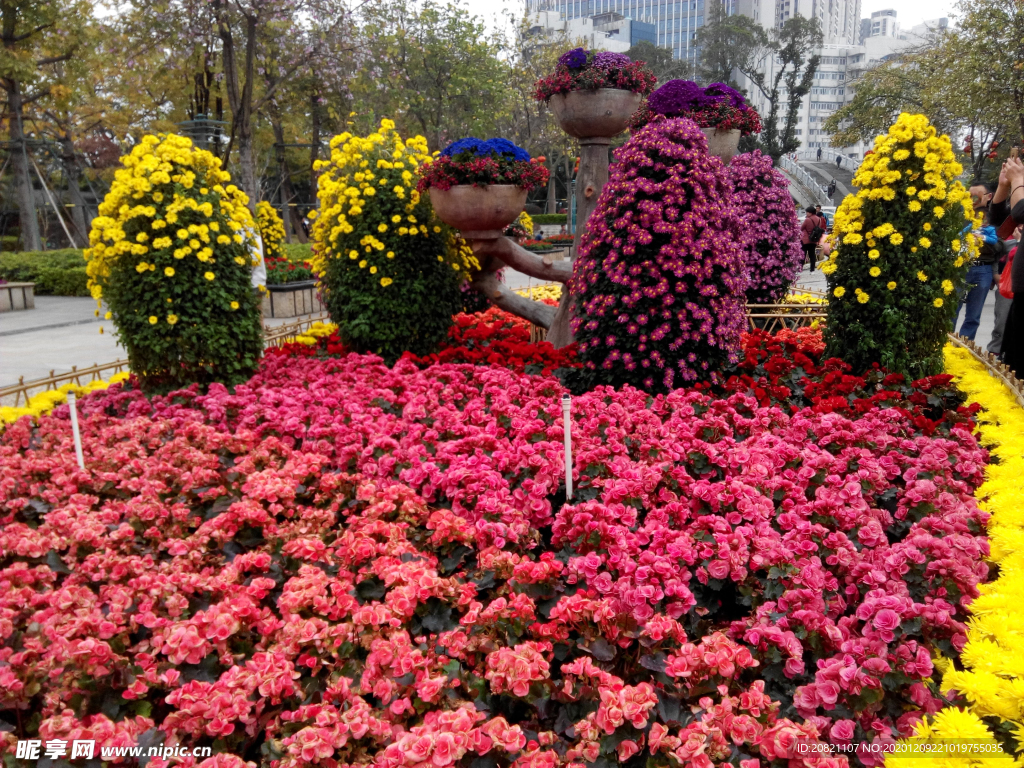 花卉
