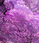 紫薯紫