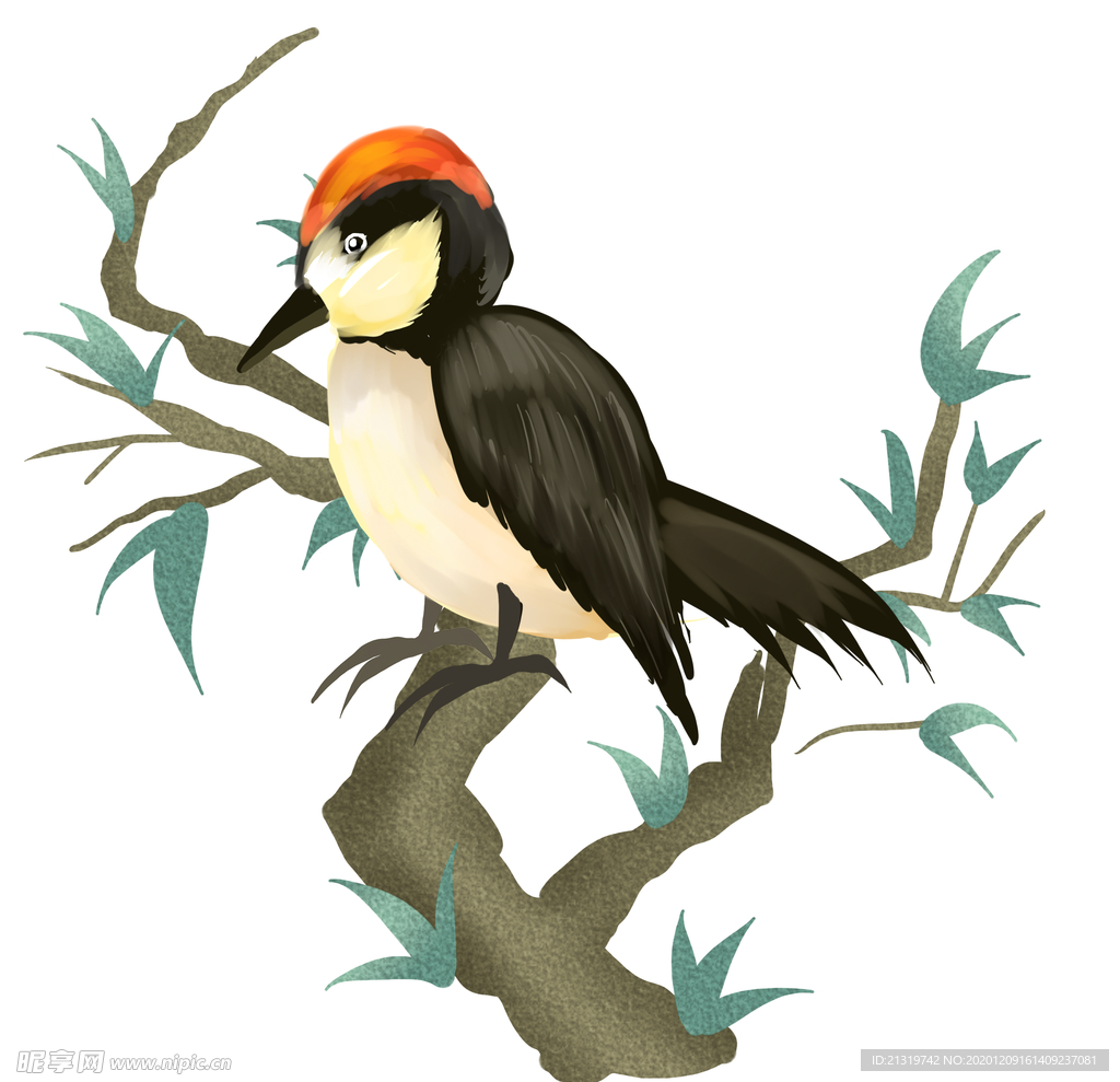 一组啄木鸟鸟类平面动画插图 向量例证. 插画 包括有 例证, 逗人喜爱, 鸟舍, 向量, 森林, 野生生物 - 255346012