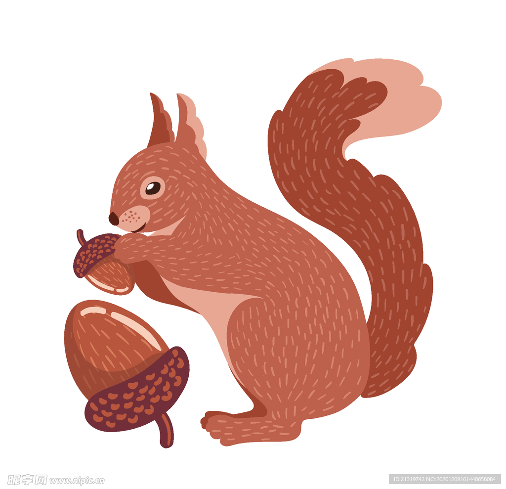 矢量插画松鼠
