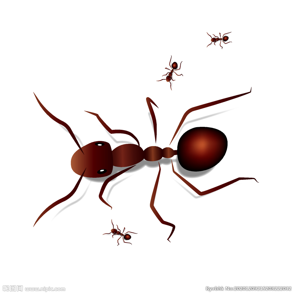 矢量卡通蚂蚁