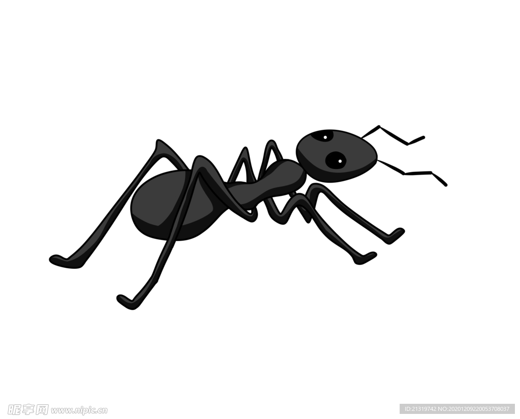 手绘插画蚂蚁