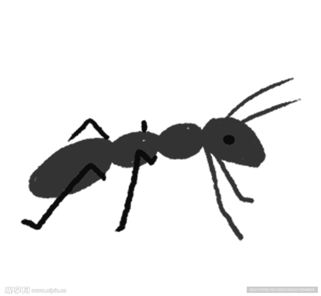 手绘插画蚂蚁