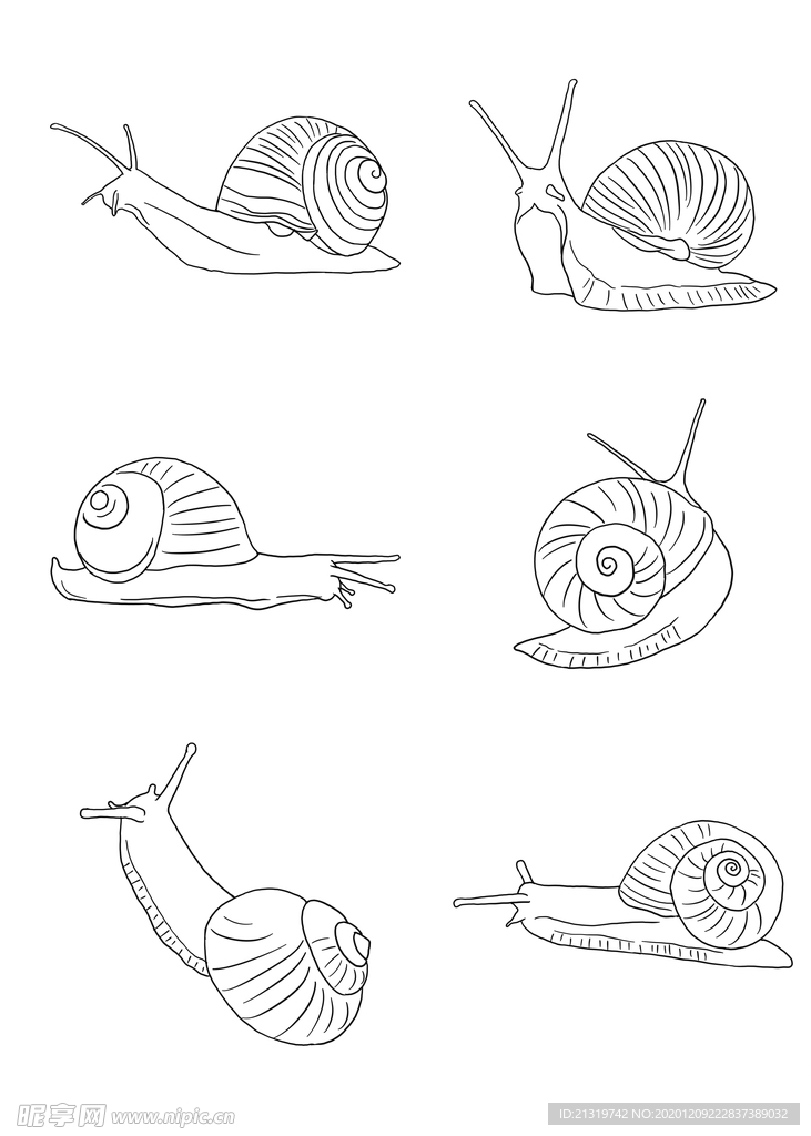 蜗牛线条插画