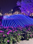 西安夜景