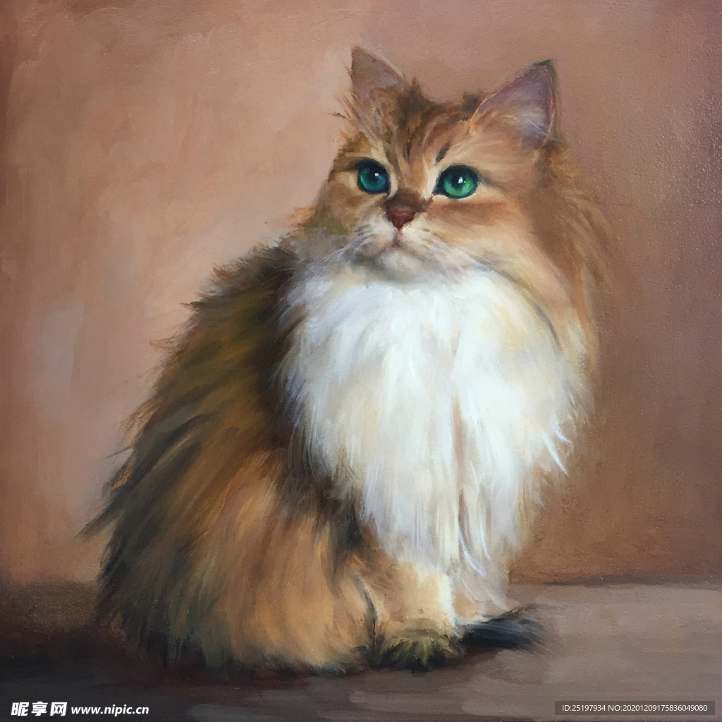 猫