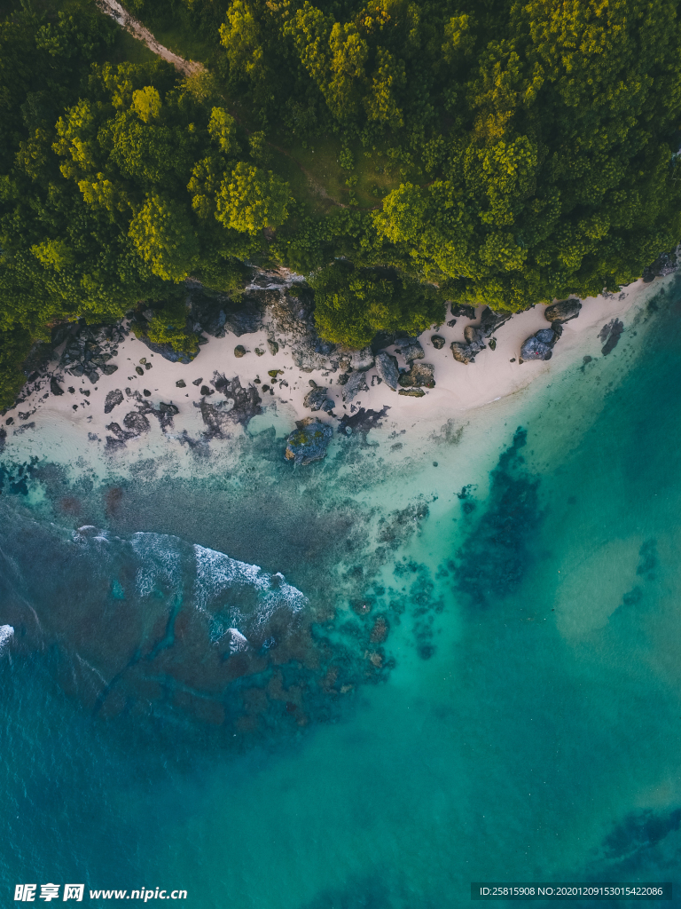 海岸