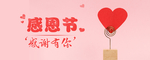 感恩节
