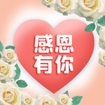 感恩节