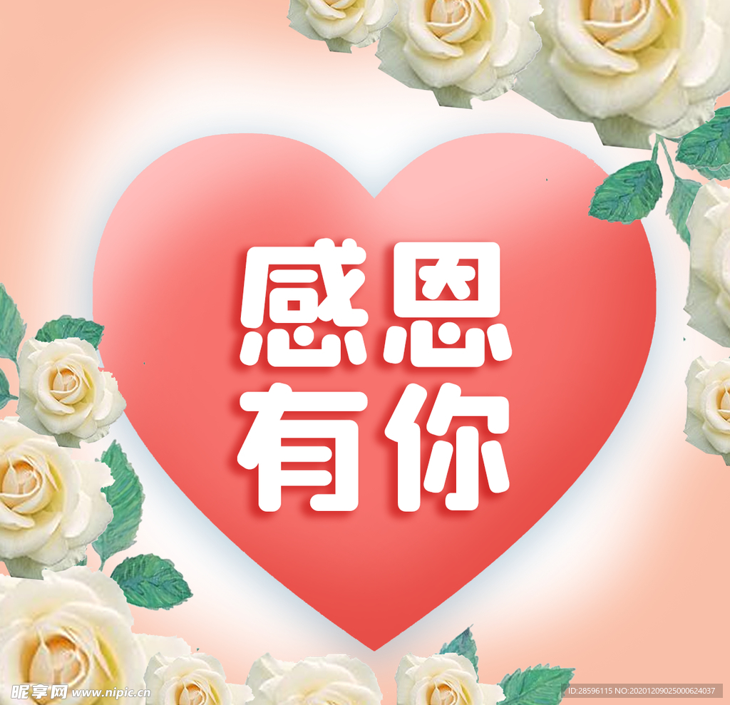 感恩节