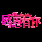 感恩节