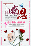 感恩节