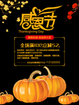 感恩节