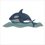 海豚图案