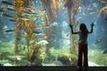 水族馆