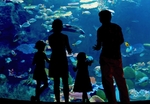 水族馆