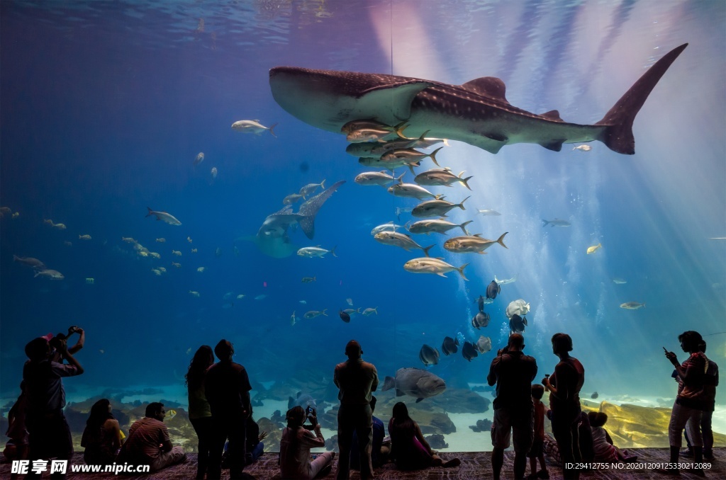 水族馆