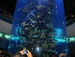水族馆