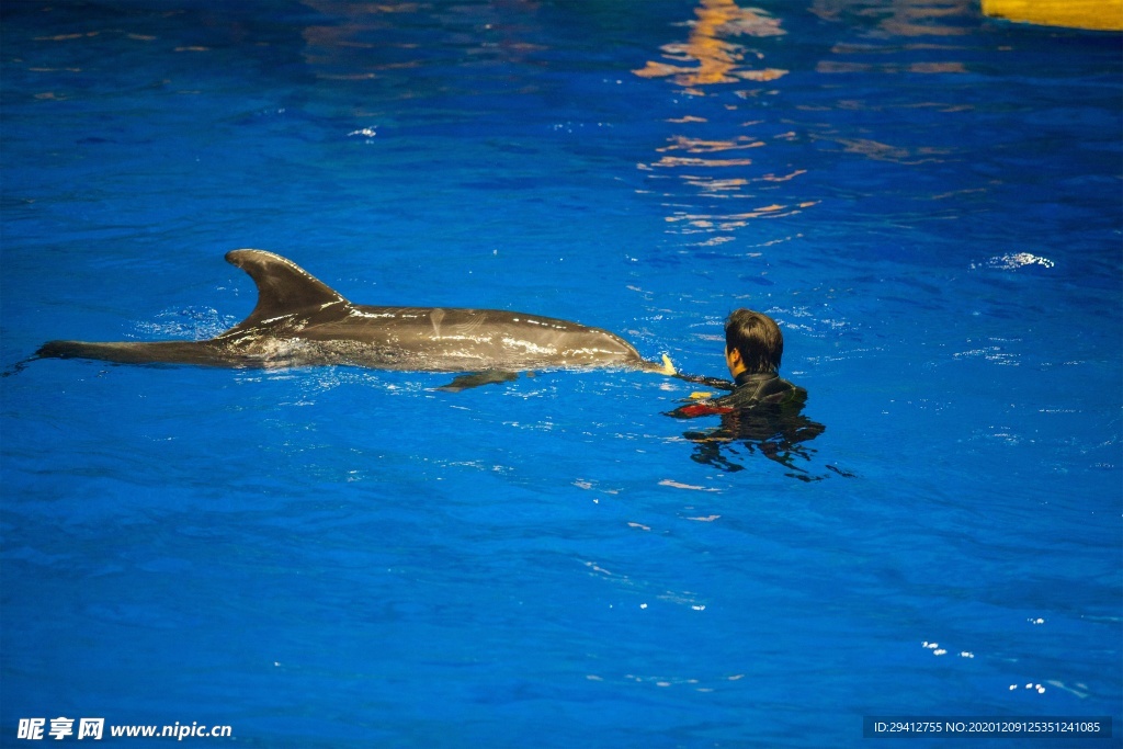 水族馆