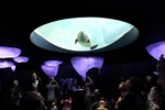 水族馆
