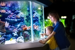 水族馆