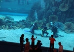 水族馆