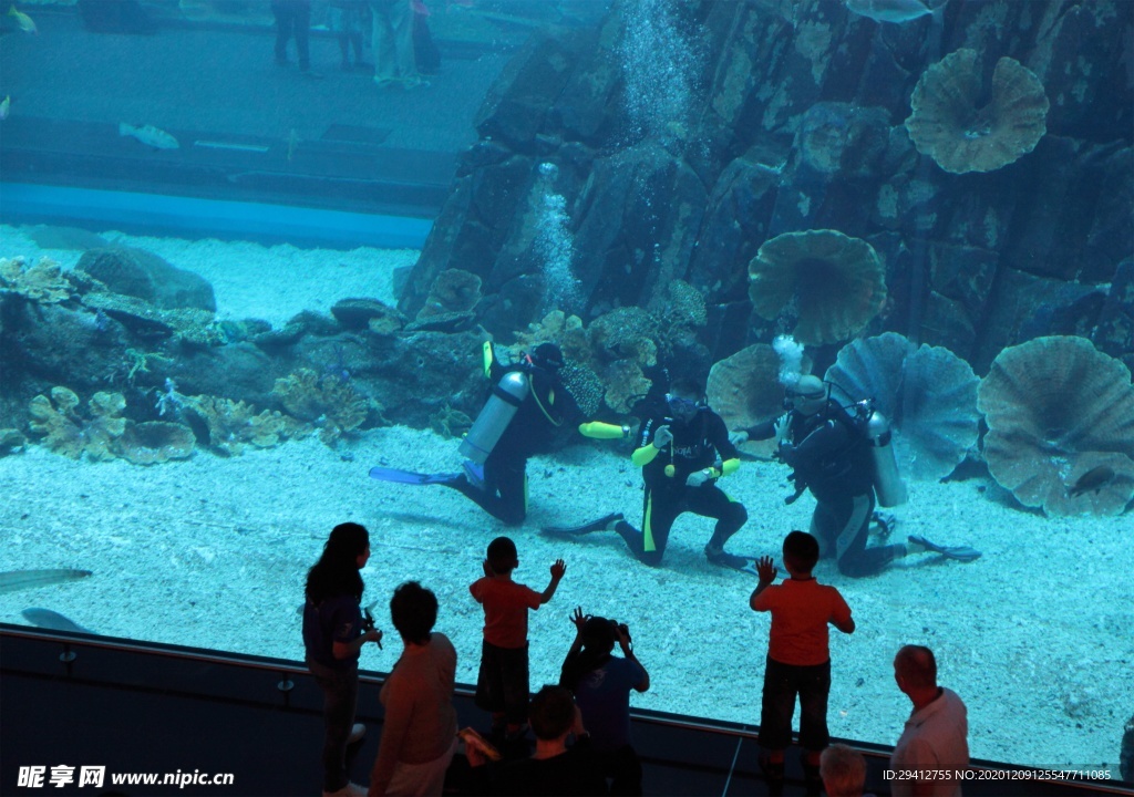 水族馆