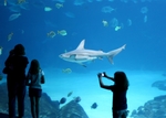 水族馆
