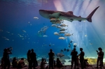 水族馆