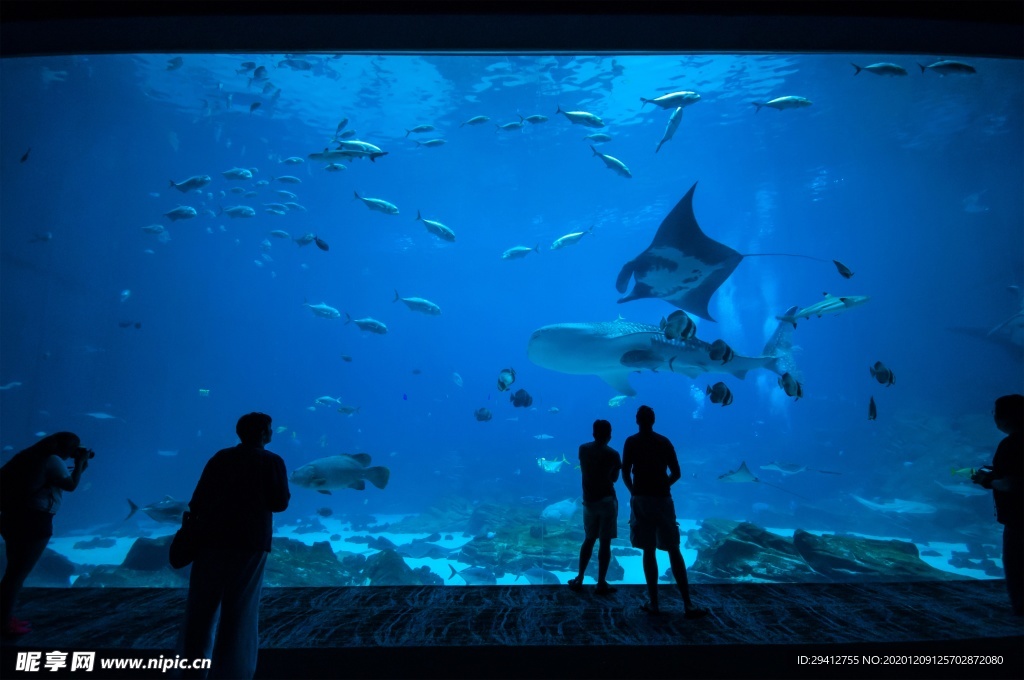 水族馆