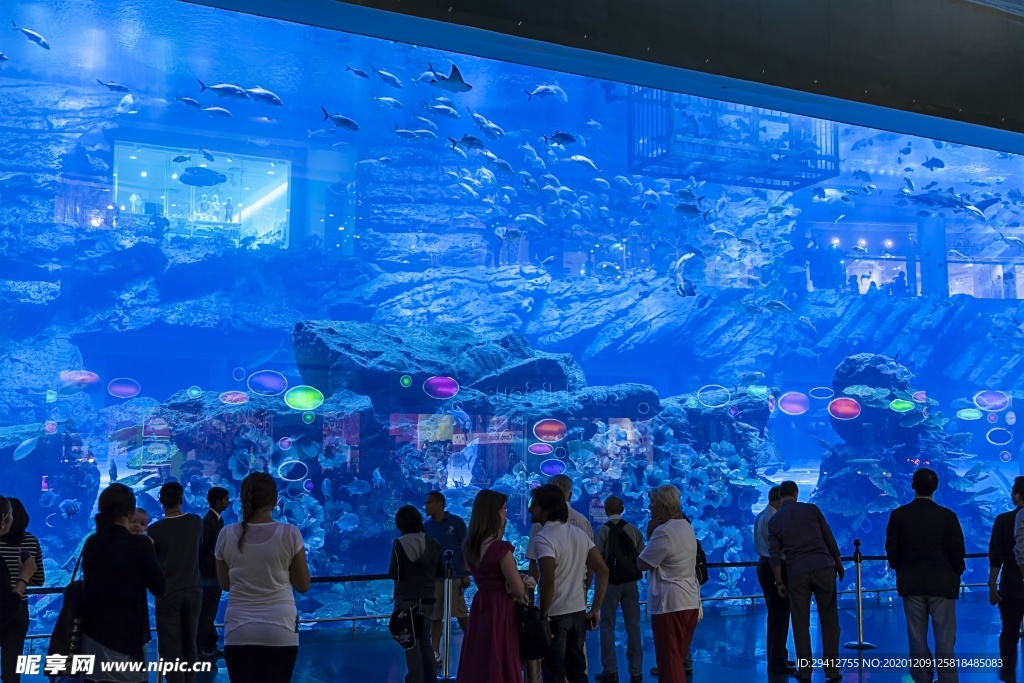 水族馆