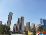 城市