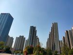 城市