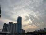城市