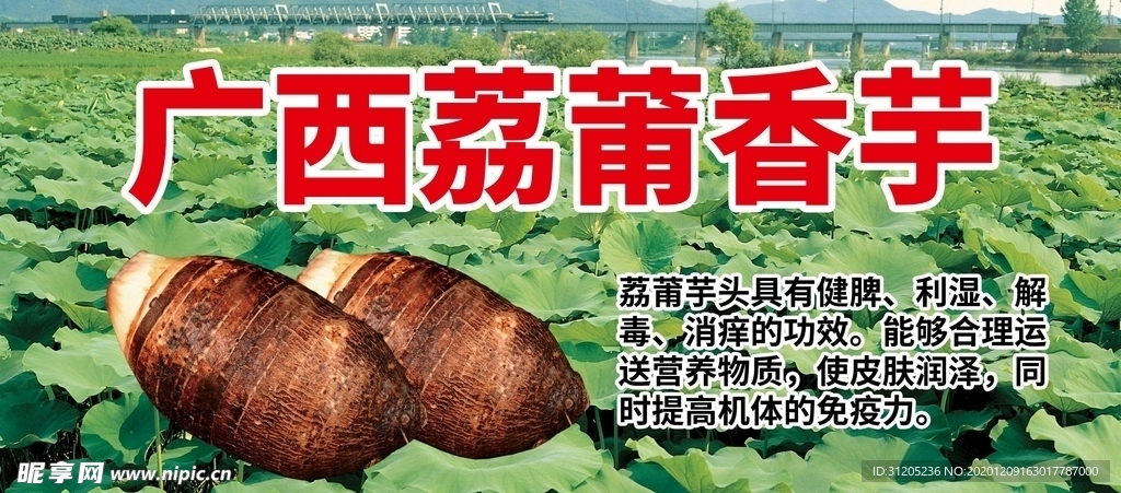广西荔莆芋头