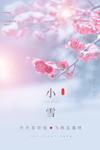 小雪