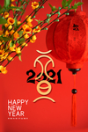 2021牛年元旦