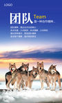 蓝色经典企业文化展板