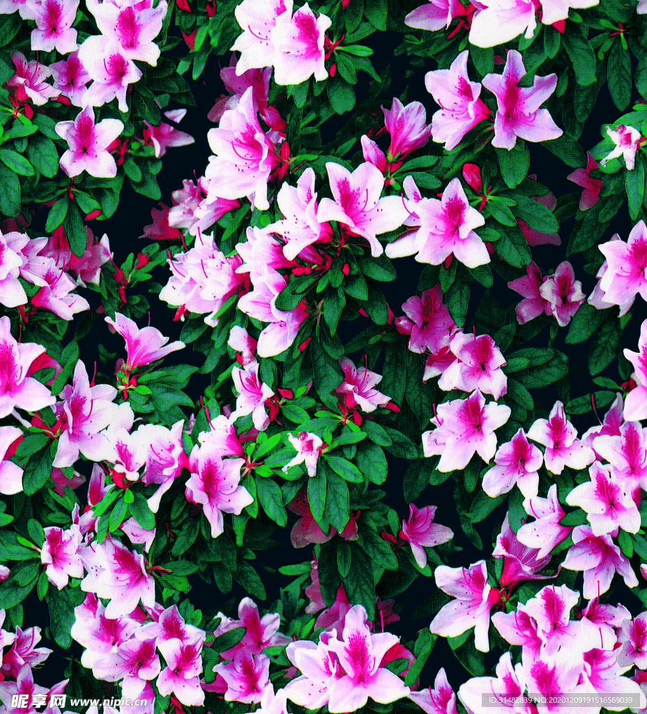 花