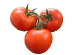 西红柿番茄免抠图
