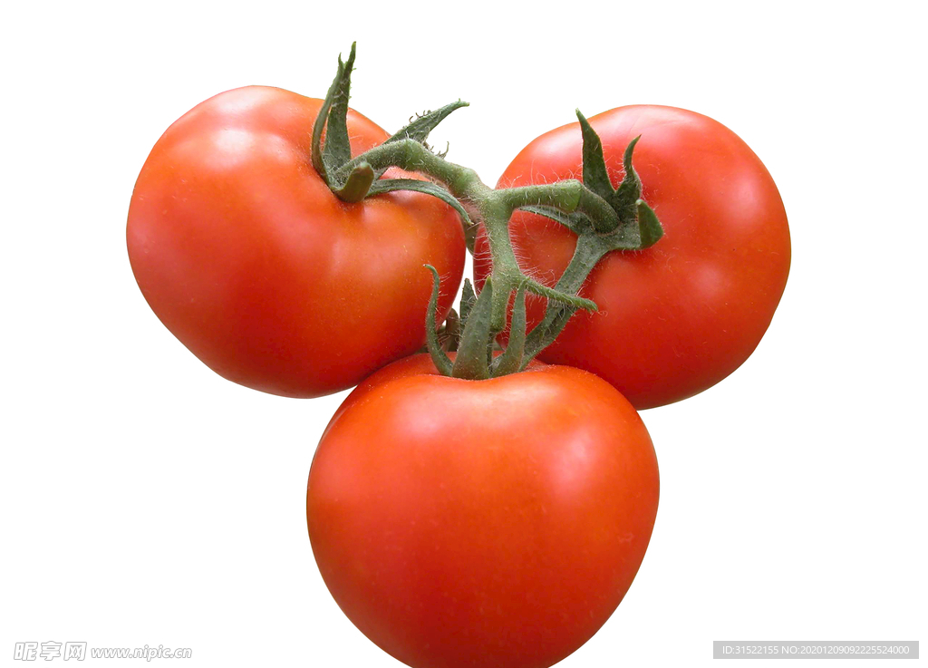 西红柿番茄免抠图