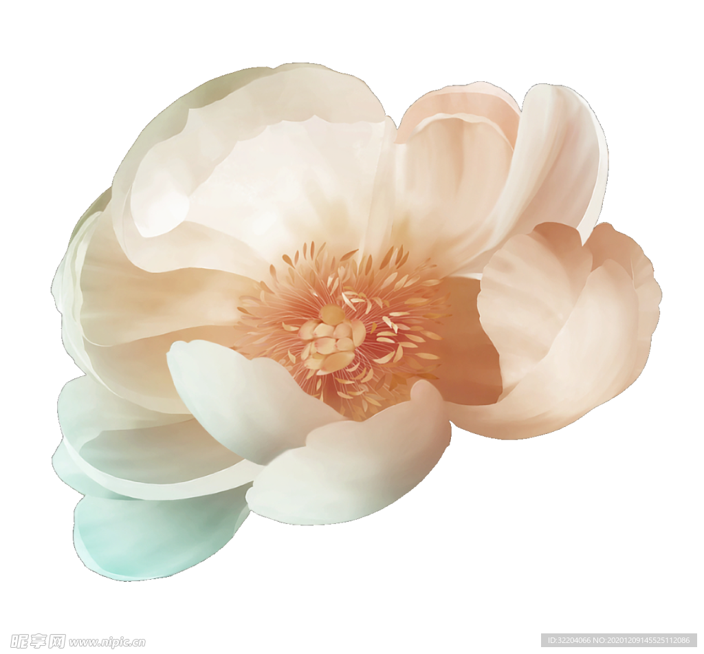 手绘花