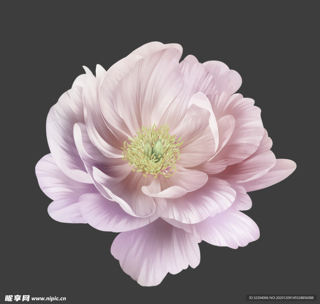 手绘花