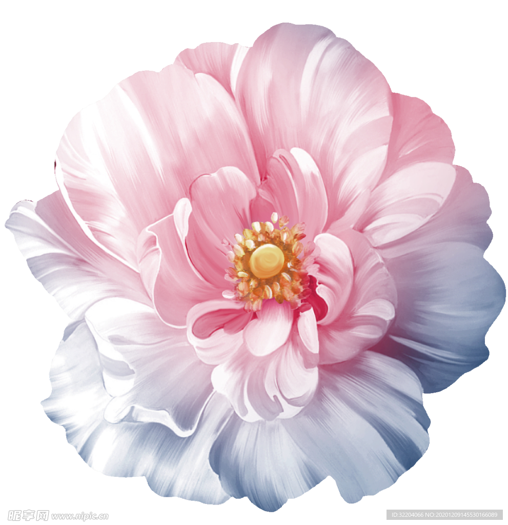 手绘花