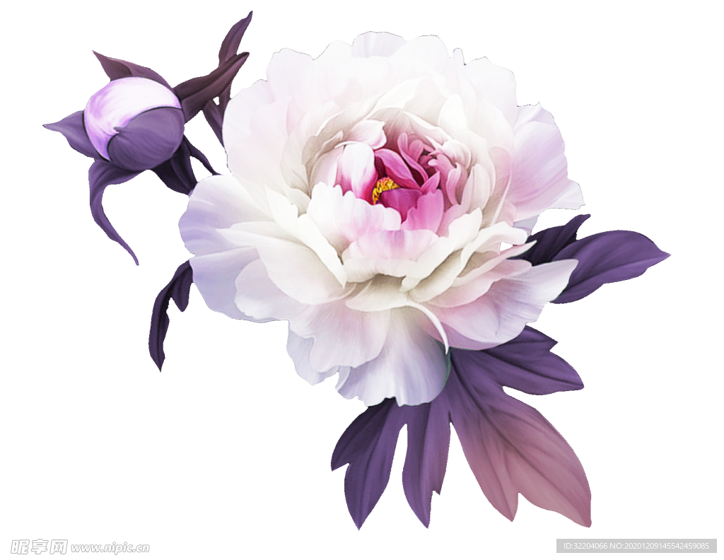手绘花