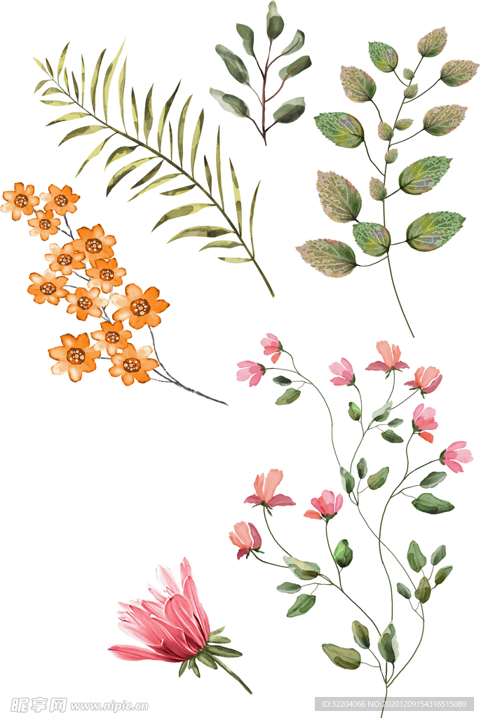 手绘花